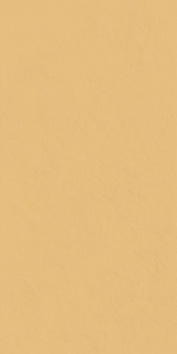 Серфейс Сан  Пат (60X120 Пат.) ..