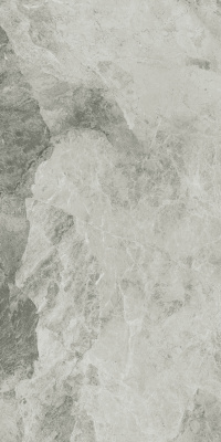 Шарм Экстра Силвер (60X120 Люкс) ..