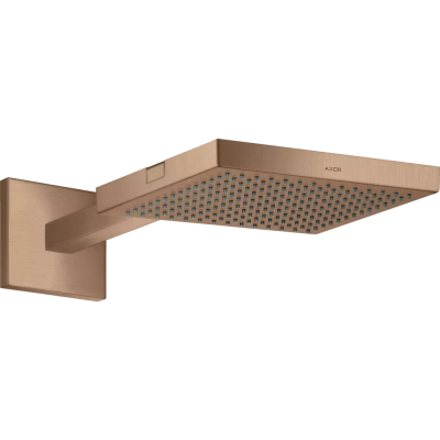 AX ShowerCollection Верхний душ BRG ..