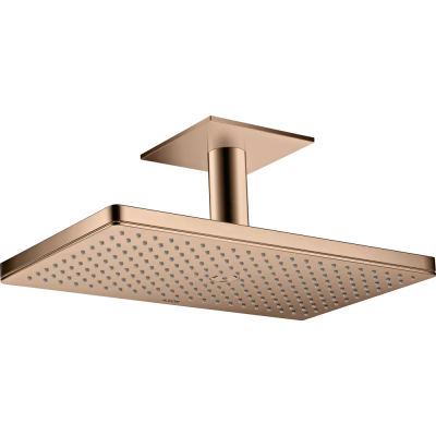 AX Верхний душ 460 1jet с пот. под., PRG ..