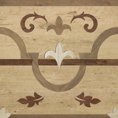 Axi Fascia Elegance