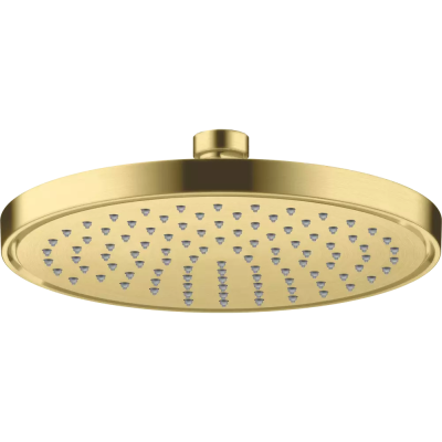 AX Conscious Showers Верхний душ 220 1jet, BB ..