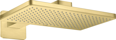 AX Верхний душ 460 1jet с держателем, BB ..