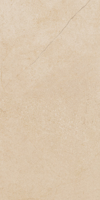 Контемпора Флэйр (60X120 Пат.)