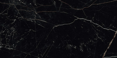 (tekdata) 590904f6b79cdd2f586cf12cf5006a8d.jpg palazzo.pro