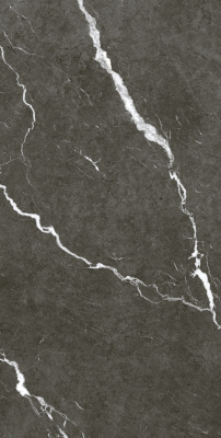 МИКЕЛАНДЖЕЛО ДАРК 60X120 РЕТ