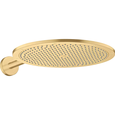 AX 350 1jet Верхний душ с держателем,BGO ..