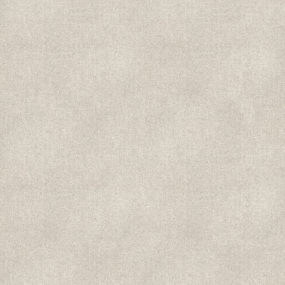 610010006221_1
