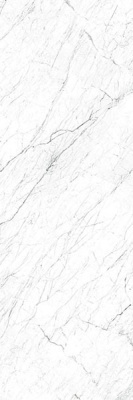 LAMFF00575