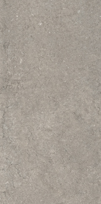 ДИСКАВЕР ГРЭЙ 60X120 РЕТ