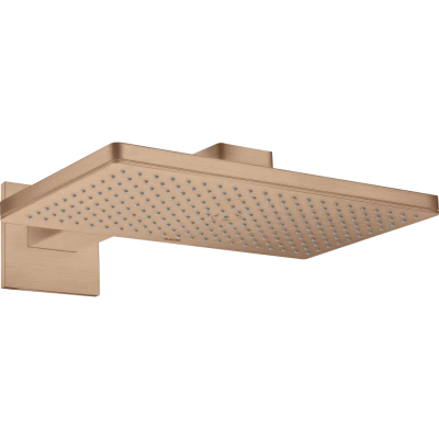 AX Верхний душ 460 1jet с держ., BRG ..