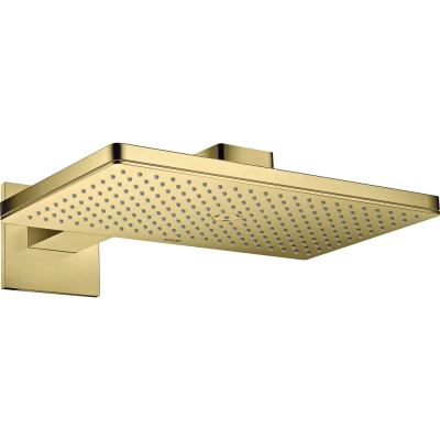 AX Верхний душ 460 1jet с держателем, PB ..