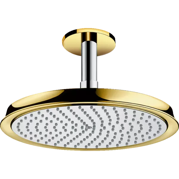 HG Raindance C 240 Верхний душ ..