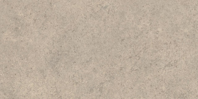 610010005828