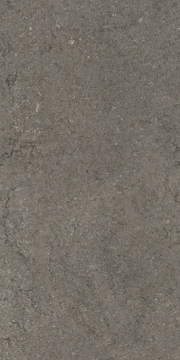ДИСКАВЕР ФУМЭ 60X120 РЕТ