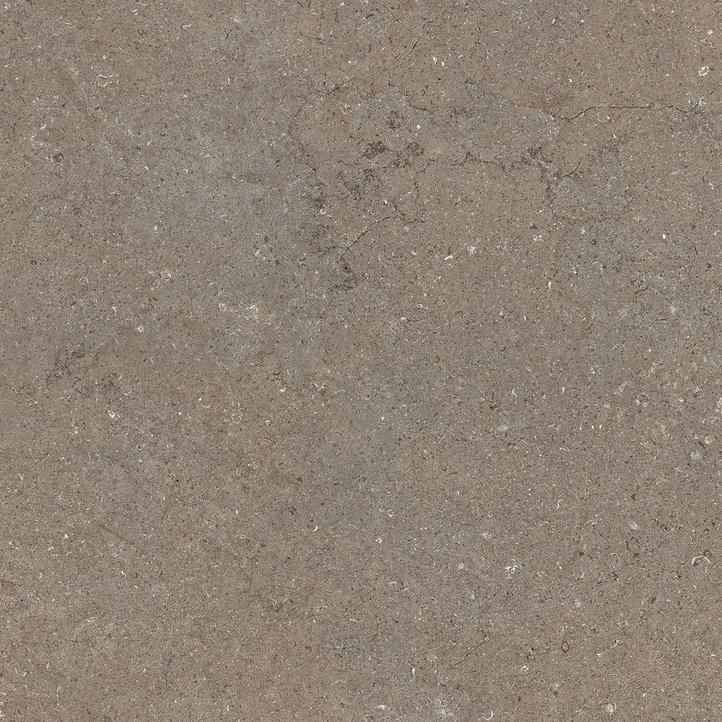 ДИСКАВЕР ДЕЗЕРТ 60 РЕТ ..