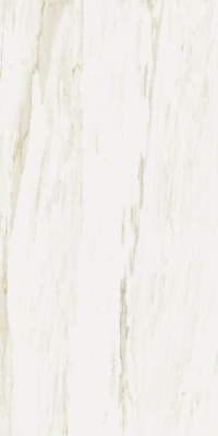 (tekdata) 610015000678_1.jpg palazzo.pro