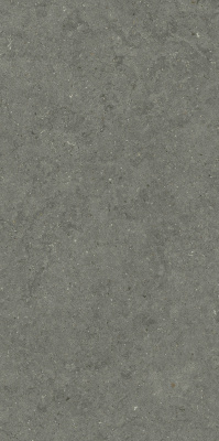 ФОРУМ СТОУН АЙРОН 60X120