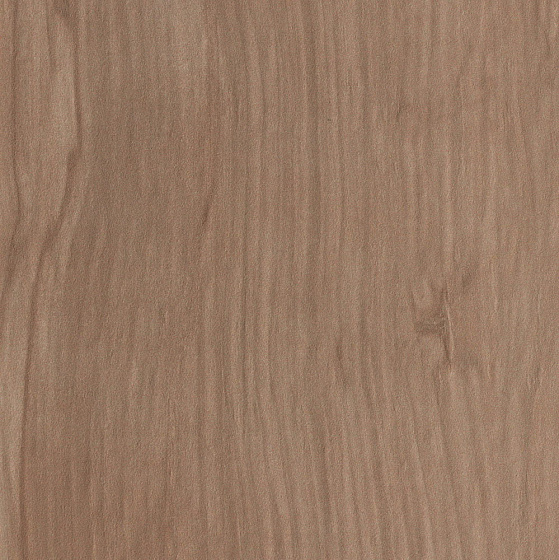 Etic Noce Bottone  (7X7 ) ..