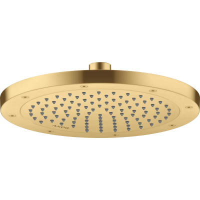 AX Conscious Showers Верхний душ 245 1jet, EcoSmart+, BGO ..