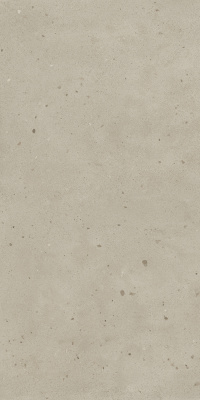 АВА.ДАСТ 60X120 РЕТ