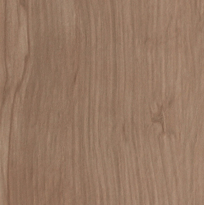 Etic Noce Bottone  (7X7 )