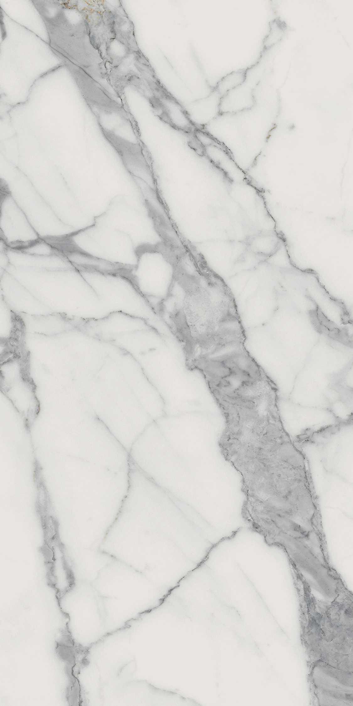 Шарм Эво Статуарио  Рет (60X120 Нат.) ..