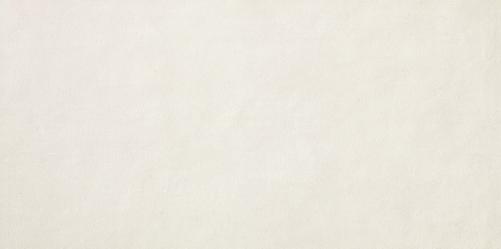 Керамич. плитка Ewall Pure 40x80