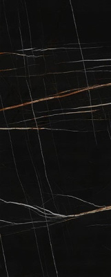 LAMFF01202