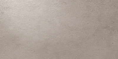 Dwell Gray  (30X60 )