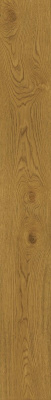 Exence Amber 18,5x150