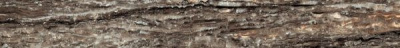 610090002335