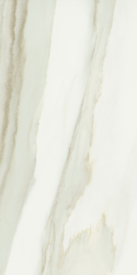 ШАР.ЭДВ.КРЕ.ДЕЛИК.60X120 ПАТ ..