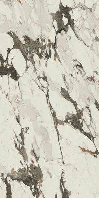 610010001850