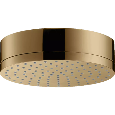 AX Citterio Верхний душ PBR ..