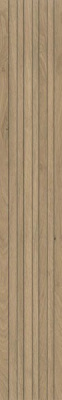 AYCT